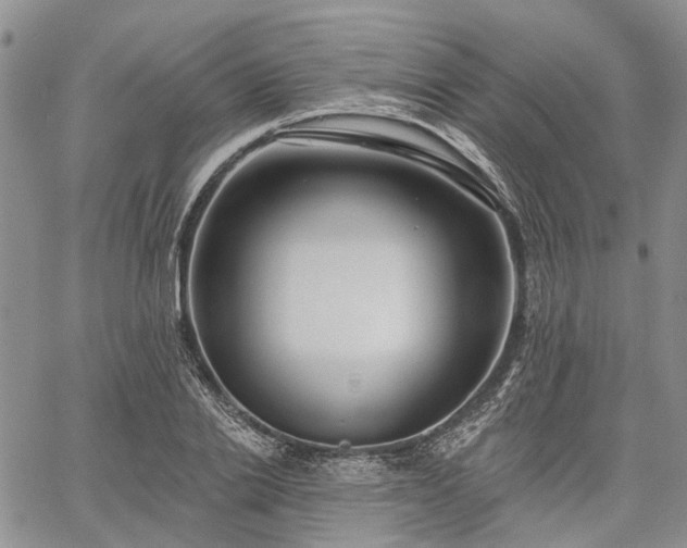 X0000061730838200512091543