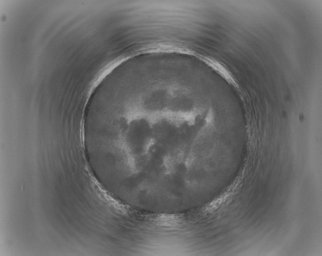 X0000061730839200512091543