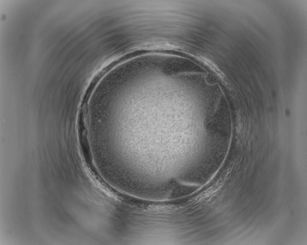 X0000061730840200512091543