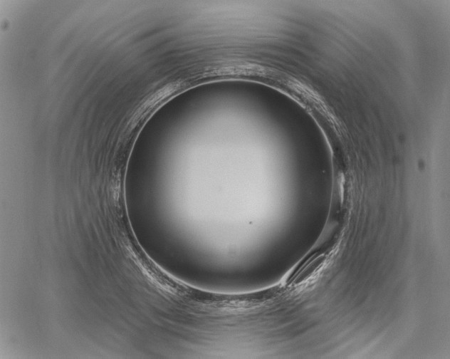 X0000061730841200512091543