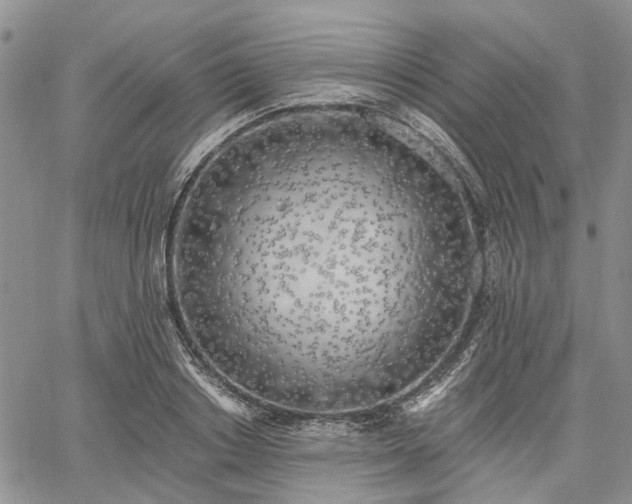X0000061730842200512091543