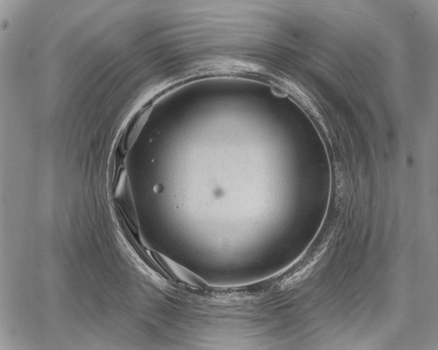 X0000061730843200512091543