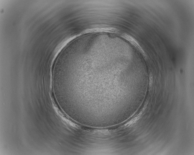 X0000061730844200512091543