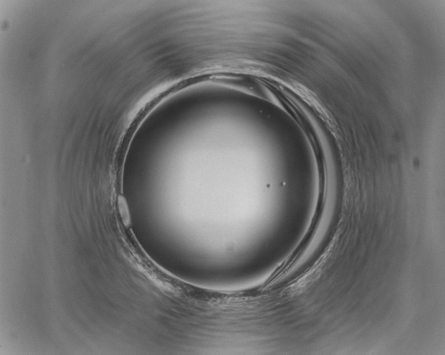 X0000061730846200512091543