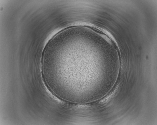 X0000061730847200512091543