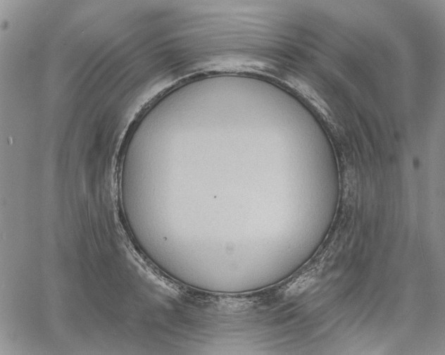 X0000061730848200512091543