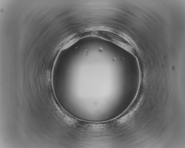 X0000061730849200512091543