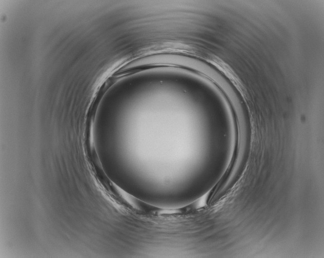 X0000061730850200512091543