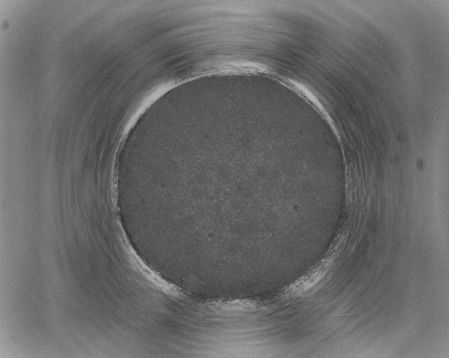 X0000061730851200512091543