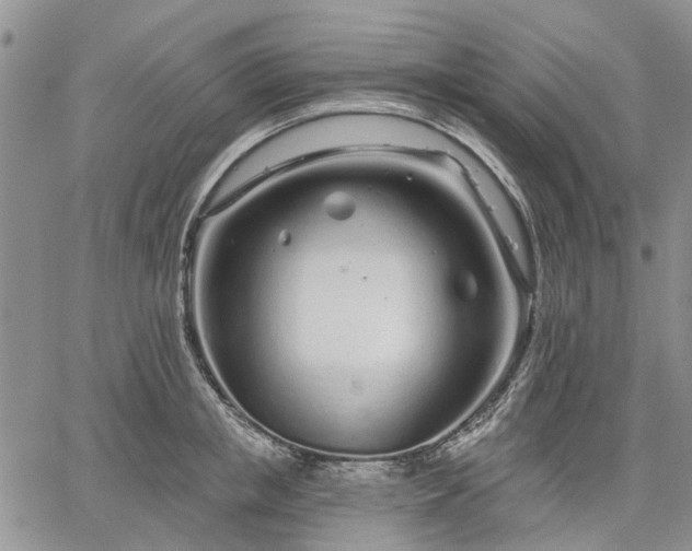 X0000061730853200512091543