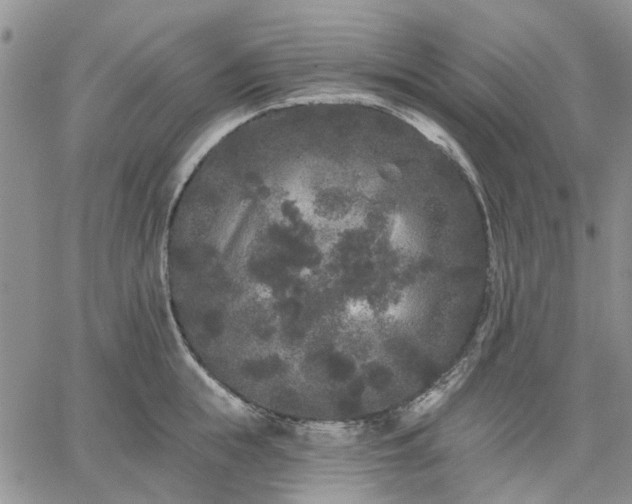 X0000061730855200512091543