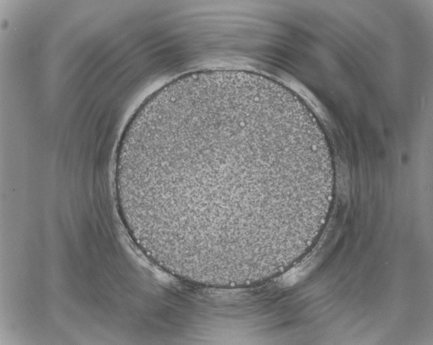 X0000061730856200512091543