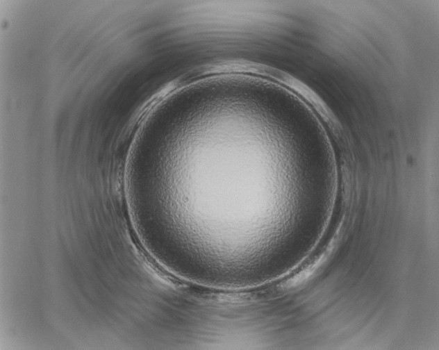 X0000061730857200512091543