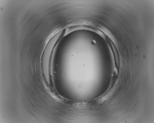 X0000061730858200512091543