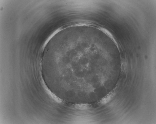 X0000061730859200512091543