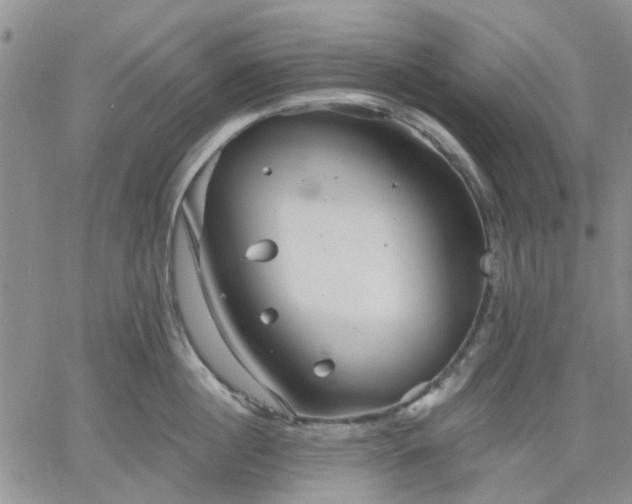 X0000061730860200512091543