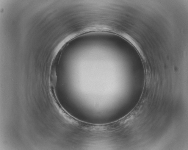 X0000061730861200512091543