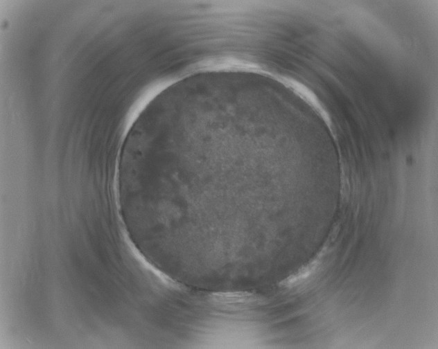 X0000061730863200512091543