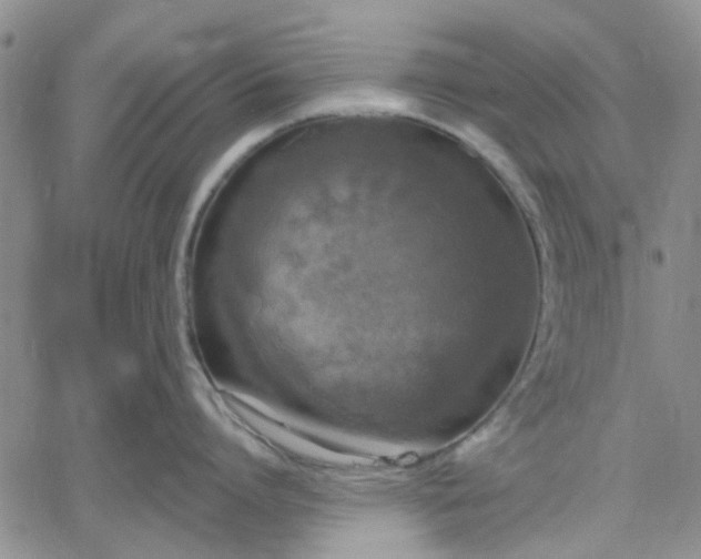 X0000061730864200512091543