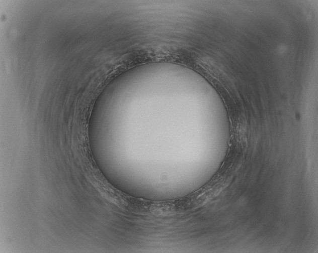 X0000061730865200512091542