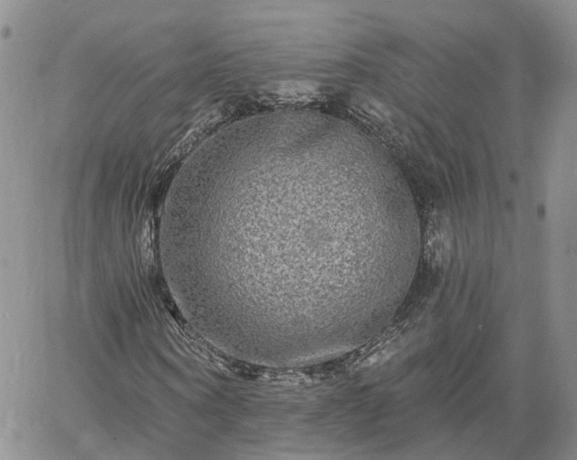 X0000061730866200512091542