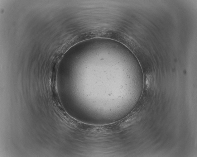 X0000061730867200512091542