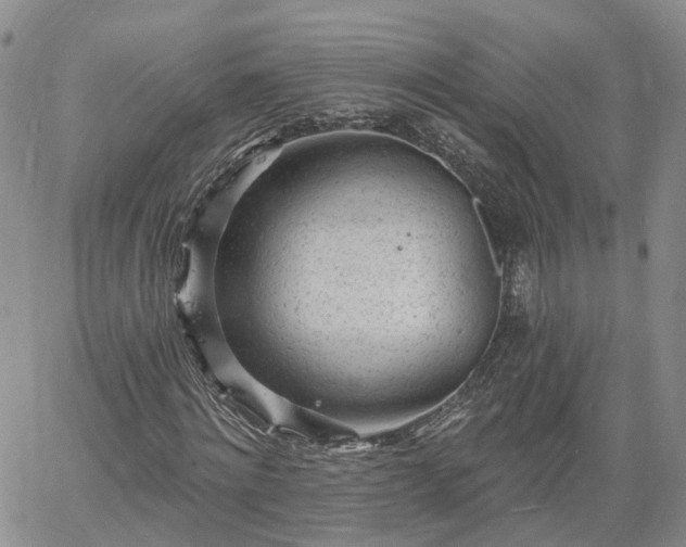 X0000061730868200512091542