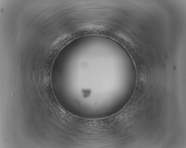 X0000061730869200512091542