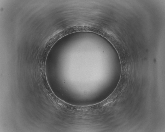 X0000061730870200512091542