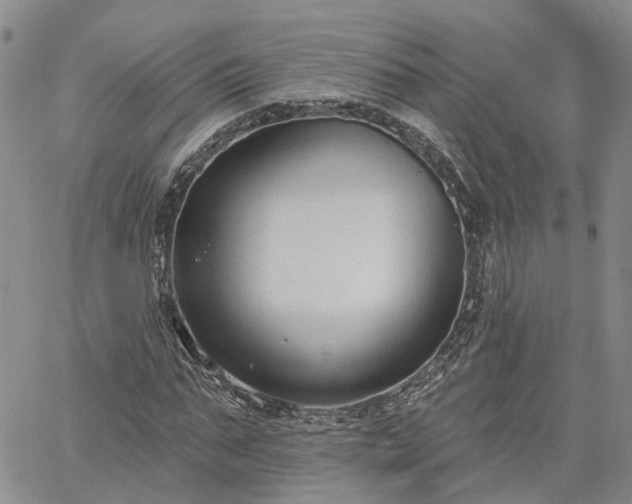 X0000061730871200512091542