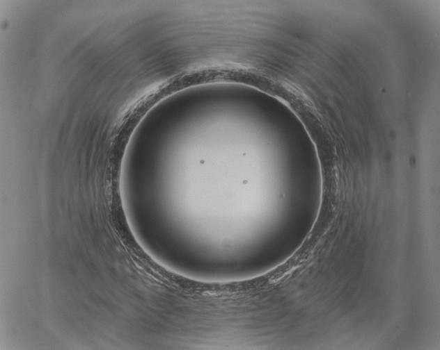 X0000061730872200512091542