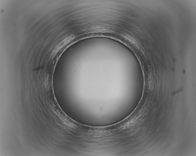 X0000061730873200512091542