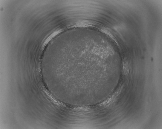 X0000061730874200512091542