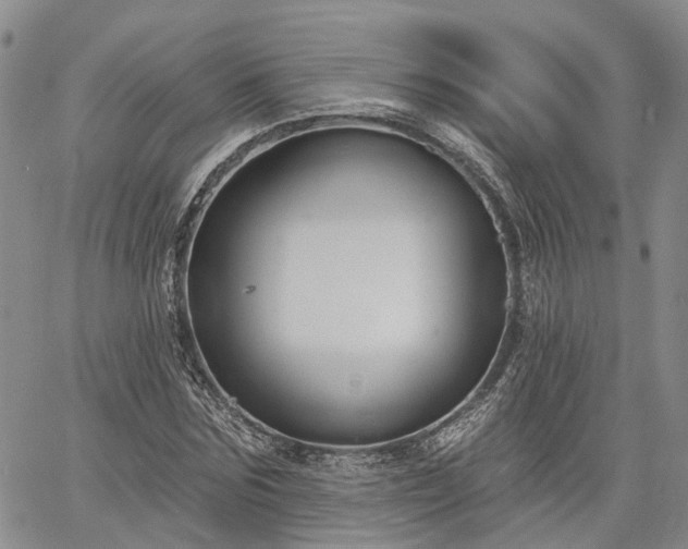 X0000061730875200512091542