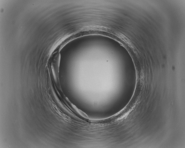 X0000061730877200512091542