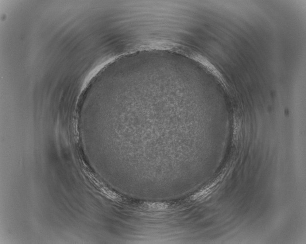 X0000061730878200512091542