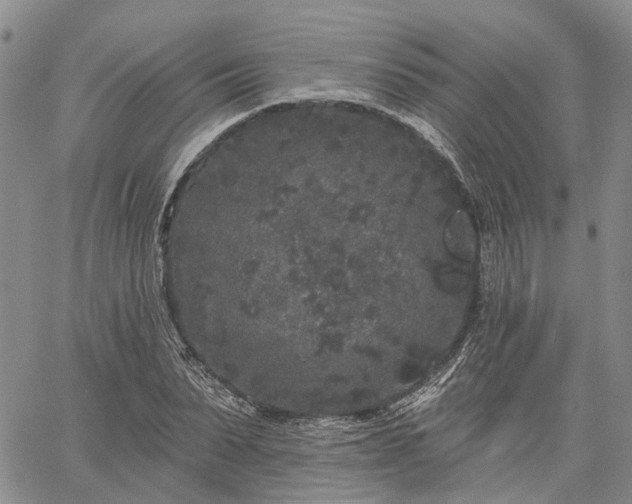 X0000061730879200512091542