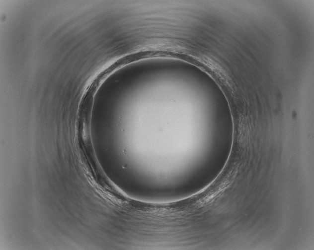 X0000061730880200512091542