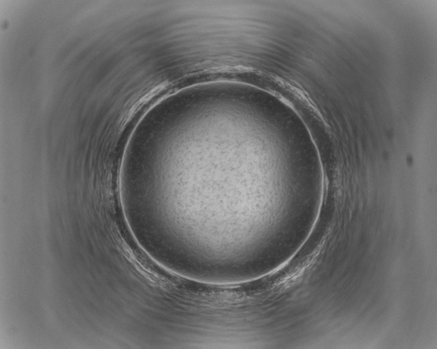 X0000061730881200512091542