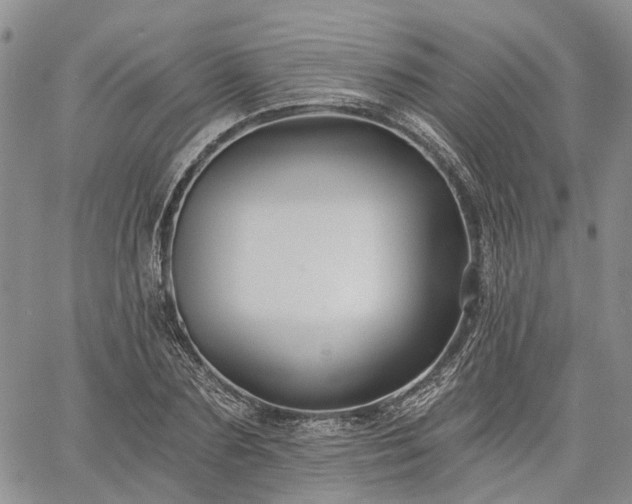 X0000061730883200512091542