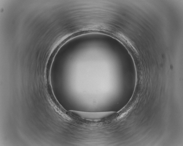 X0000061730884200512091542