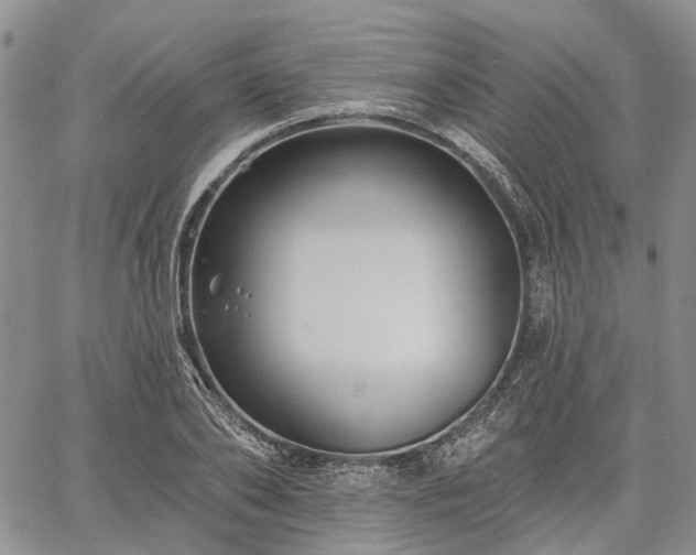 X0000061730886200512091542