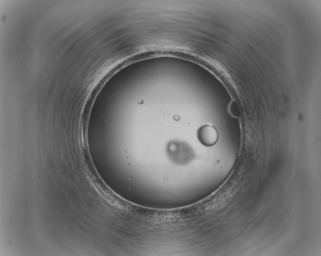 X0000061730887200512091542