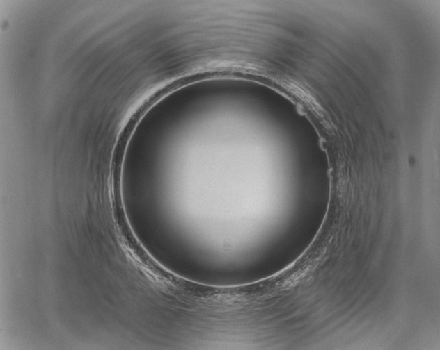 X0000061730888200512091542