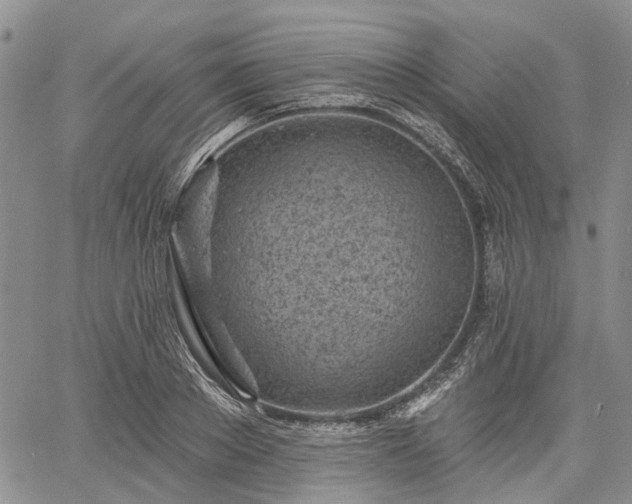 X0000061730889200512091542