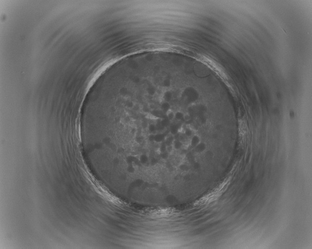 X0000061730891200512091542