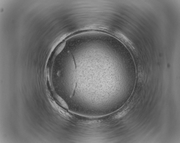 X0000061730892200512091542