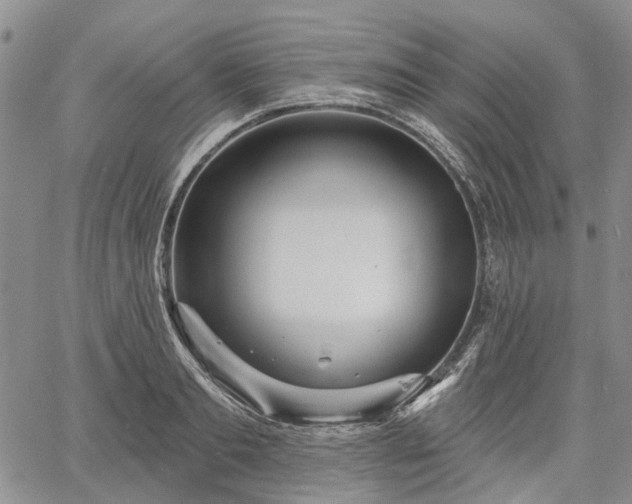 X0000061730893200512091542