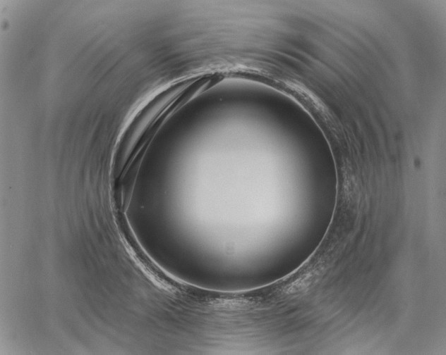 X0000061730894200512091542