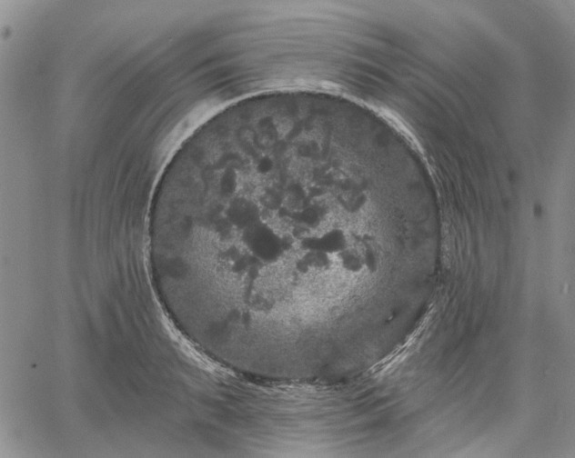 X0000061730895200512091542